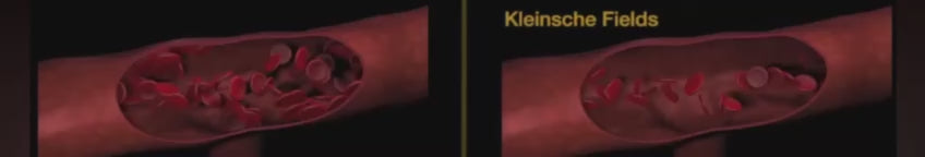 BIORELAX® Klein'sche Felder – Unterstützung von Durchblutung und Mikrozirkulation